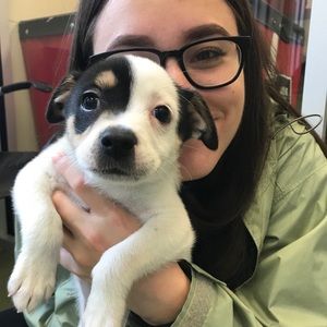 Meet your seller! 😺